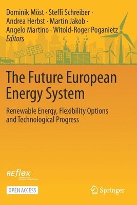 Dominik Möst, Steffi Schreiber, Andrea Herbst - Future European Energy System, Häftad