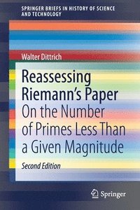 bokomslag Reassessing Riemann's Paper
