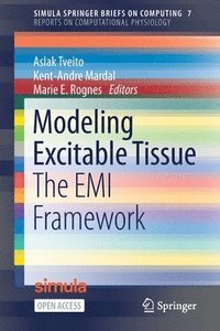 bokomslag Modeling Excitable Tissue