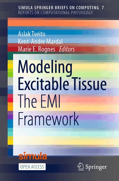 Aslak Tveito, Kent-Andre Mardal, Marie E. Rognes - Modeling Excitable Tissue, Häftad