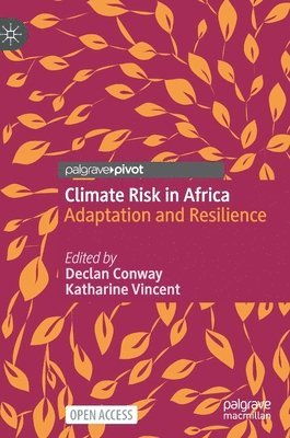 bokomslag Climate Risk in Africa