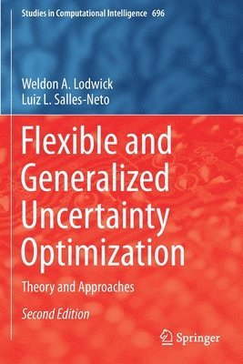 bokomslag Flexible and Generalized Uncertainty Optimization