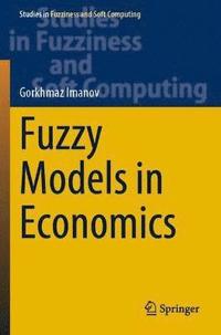 bokomslag Fuzzy Models in Economics