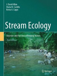 bokomslag Stream Ecology