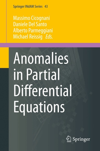 Massimo Cicognani, Daniele Del Santo, Alberto Parmeggiani, Michael Reissig - Anomalies in Partial Differential Equations, Inbunden