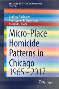 bokomslag Micro-Place Homicide Patterns in Chicago
