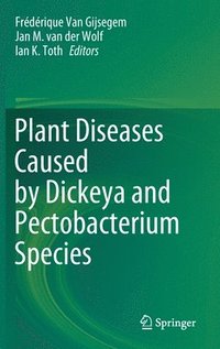 bokomslag Plant Diseases Caused by Dickeya and Pectobacterium Species