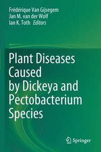 bokomslag Plant Diseases Caused by Dickeya and Pectobacterium Species