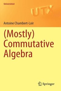 bokomslag (Mostly) Commutative Algebra
