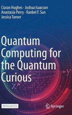 bokomslag Quantum Computing for the Quantum Curious