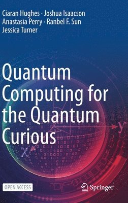 Quantum Computing for the Quantum Curious