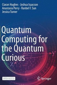 bokomslag Quantum Computing for the Quantum Curious