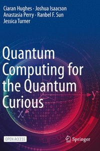 bokomslag Quantum Computing for the Quantum Curious