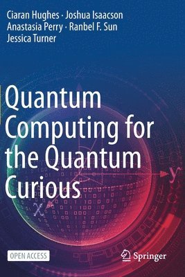 bokomslag Quantum Computing for the Quantum Curious