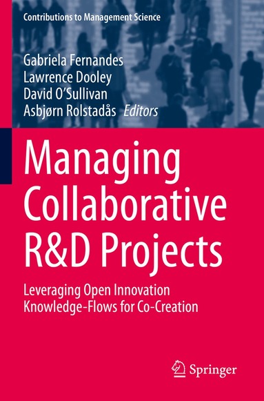 Gabriela Fernandes, Lawrence Dooley, David O'Sullivan, Asbjørn Rolstadås - Managing Collaborative R&D Projects, Häftad