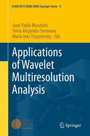Juan Pablo Muszkats, Silvia Alejandra Seminara, María Inés Troparevsky - Applications of Wavelet Multiresolution Analysis, Inbunden