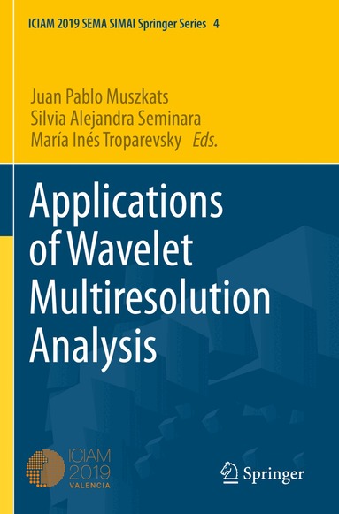 Juan Pablo Muszkats, Silvia Alejandra Seminara, María Inés Troparevsky - Applications of Wavelet Multiresolution Analysis, Häftad