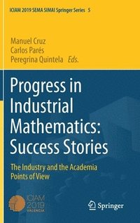 bokomslag Progress in Industrial Mathematics: Success Stories