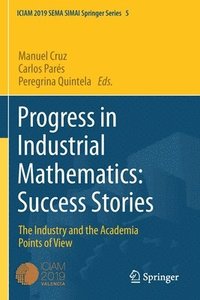 bokomslag Progress in Industrial Mathematics: Success Stories