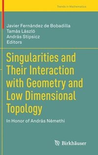 bokomslag Singularities and Their Interaction with Geometry and Low Dimensional Topology