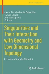 bokomslag Singularities and Their Interaction with Geometry and Low Dimensional Topology