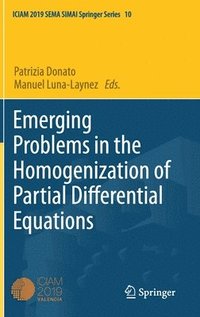 bokomslag Emerging Problems in the Homogenization of Partial Differential Equations