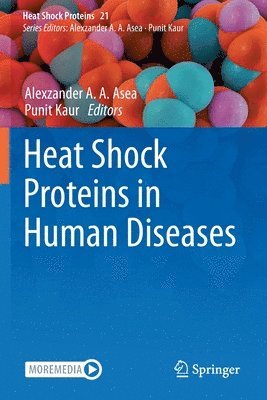 bokomslag Heat Shock Proteins in Human Diseases
