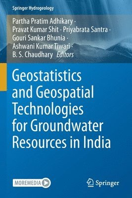 bokomslag Geostatistics and Geospatial Technologies for Groundwater Resources in India