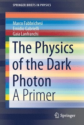 The Physics of the Dark Photon 1