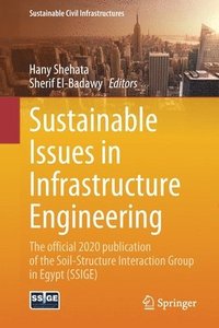 bokomslag Sustainable Issues in Infrastructure Engineering