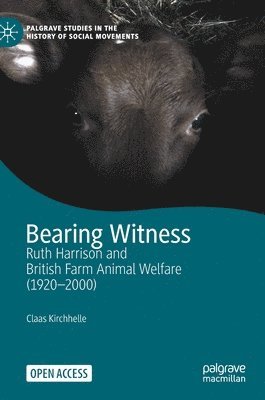 bokomslag Bearing Witness