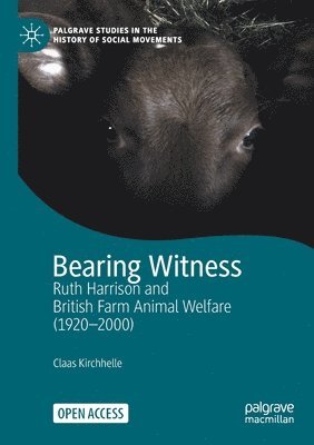 bokomslag Bearing Witness