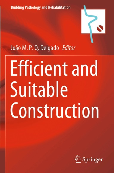 João M.P.Q. Delgado - Efficient and Suitable Construction, Häftad