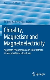 bokomslag Chirality, Magnetism and Magnetoelectricity