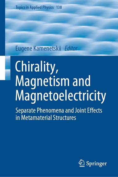 Eugene Kamenetskii - Chirality, Magnetism and Magnetoelectricity, Inbunden