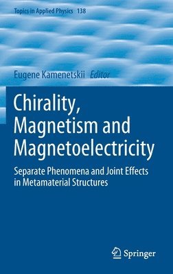 bokomslag Chirality, Magnetism and Magnetoelectricity