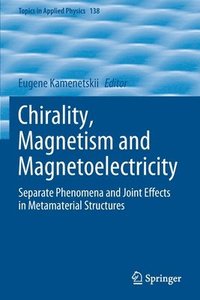 bokomslag Chirality, Magnetism and Magnetoelectricity