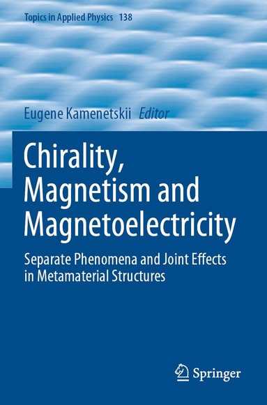 Eugene Kamenetskii - Chirality, Magnetism and Magnetoelectricity, Häftad