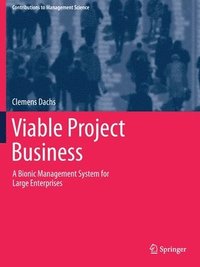 bokomslag Viable Project Business