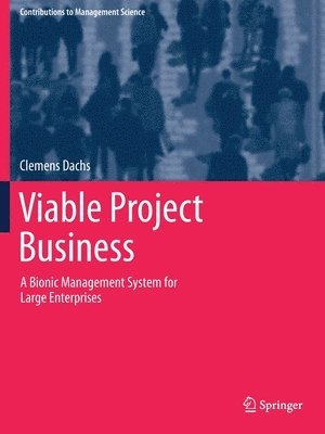 bokomslag Viable Project Business