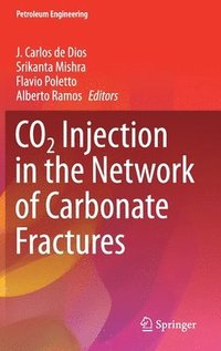 bokomslag CO2 Injection in the Network of Carbonate Fractures