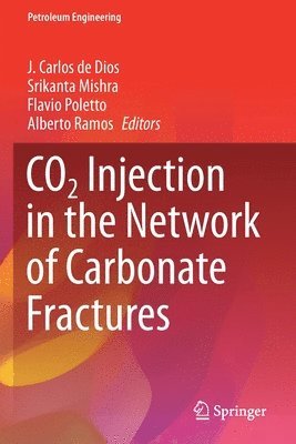 bokomslag CO2 Injection in the Network of Carbonate Fractures