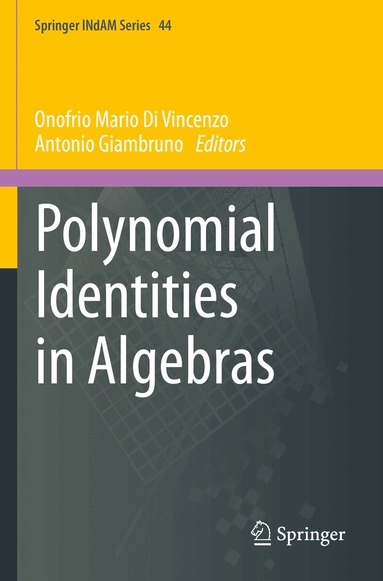 Onofrio Mario Di Vincenzo, Antonio Giambruno - Polynomial Identities in Algebras, Häftad