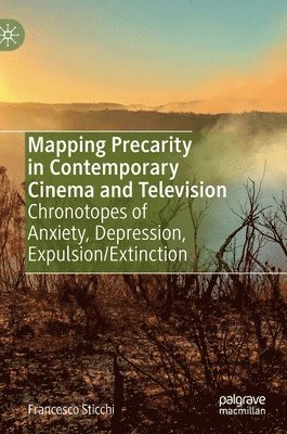 bokomslag Mapping Precarity in Contemporary Cinema and Television