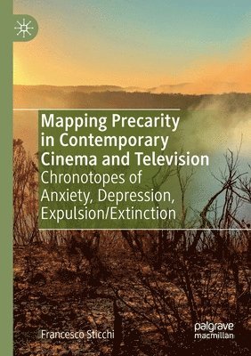 bokomslag Mapping Precarity in Contemporary Cinema and Television