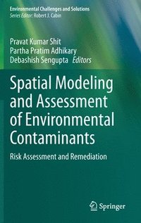 bokomslag Spatial Modeling and Assessment of Environmental Contaminants