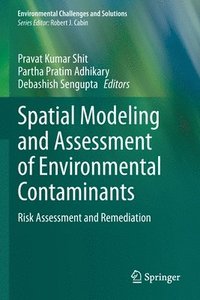 bokomslag Spatial Modeling and Assessment of Environmental Contaminants