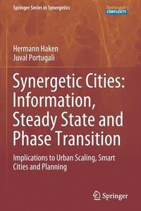 bokomslag Synergetic Cities: Information, Steady State and Phase Transition