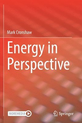 Energy in Perspective 1