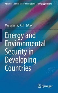 bokomslag Energy and Environmental Security in Developing Countries